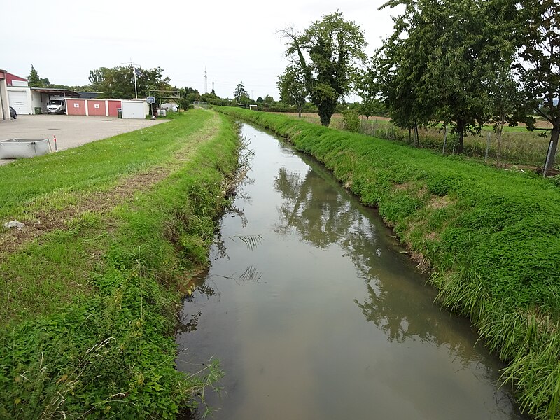 File:Leimbach Sandhausen.jpg