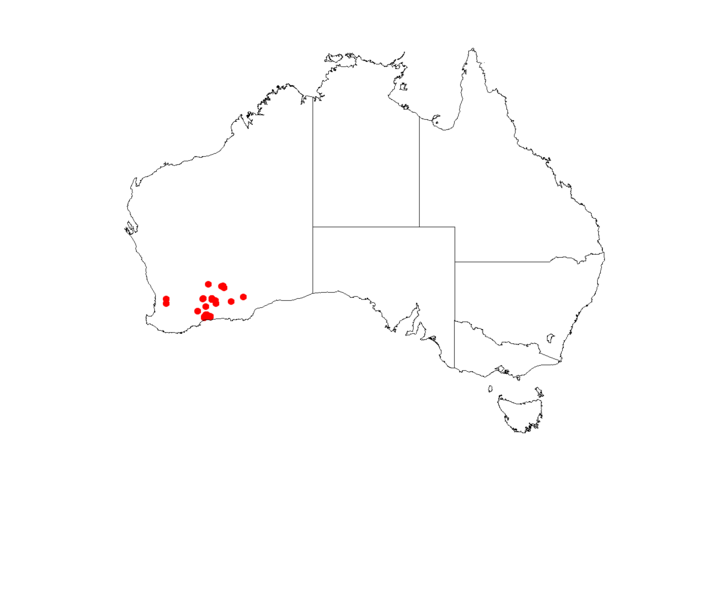 File:Lepidosperma diurnumDistMap17.png