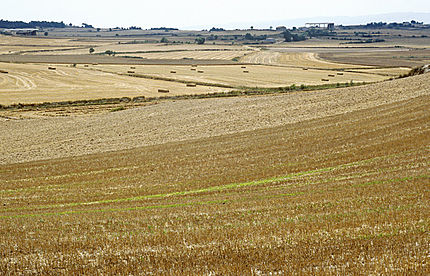 Santa Coloma de Queralt (Conca de Barberà), 24 de juliol de 2001