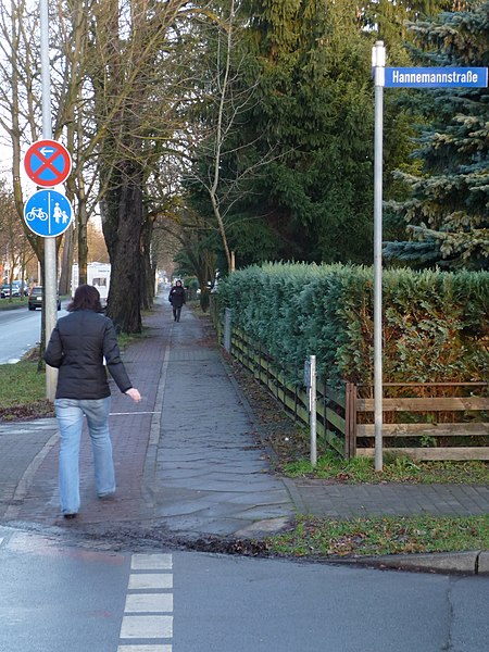 File:Lichterfelder Allee Südseite, Radweg an Einmündung Hannemannstraße - panoramio.jpg