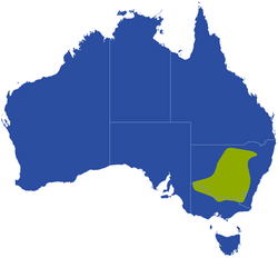 Limnodynastes-interioris-distribution-map.png