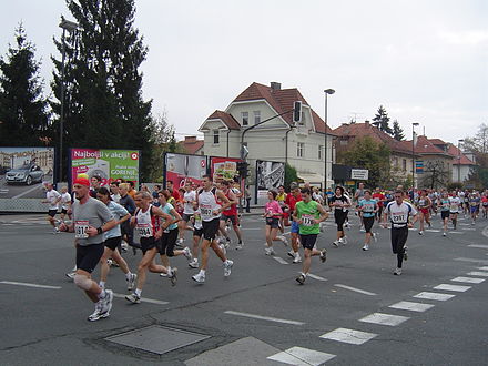 The 11th Ljubljana Marathon