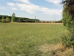 Paysage à Loison.