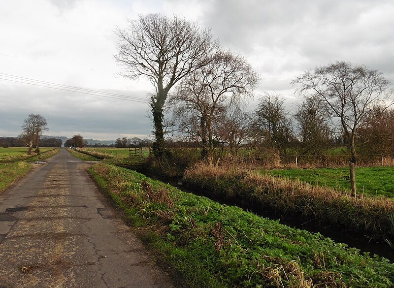 File:Long Drove - geograph.org.uk - 5999430.jpg