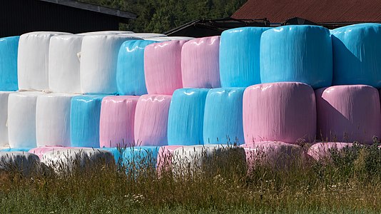 Long stack of pink white and blue silage bales