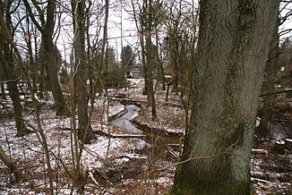 The Lottbek in Ohlstedt