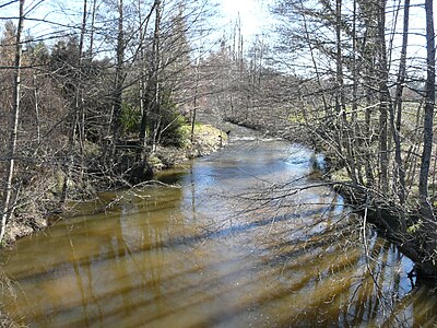 Die Loue bei Le Moulin du Pont