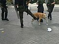 Thodoris narrowly avoiding a kick by a riot policeman, 2011