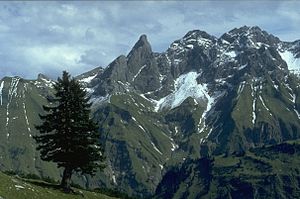 Habaum (the back in the picture below right) from Taufersberg.  Rock mountains from the left: Trettachspitze, Mädelegabel, Hochfrottspitze