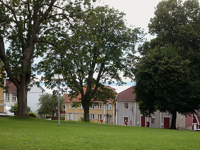 Главната улица гледана од црквата - панорама