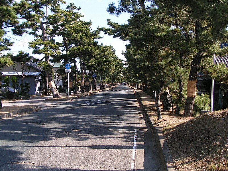 File:Maisaka.JPG