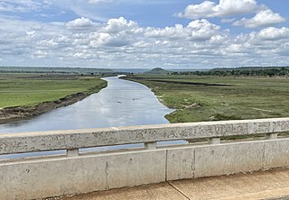 <span class="mw-page-title-main">Malagarasi River</span> River in Tanzania, Burundi