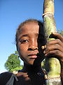 Malagasy child with sugar cane.jpg