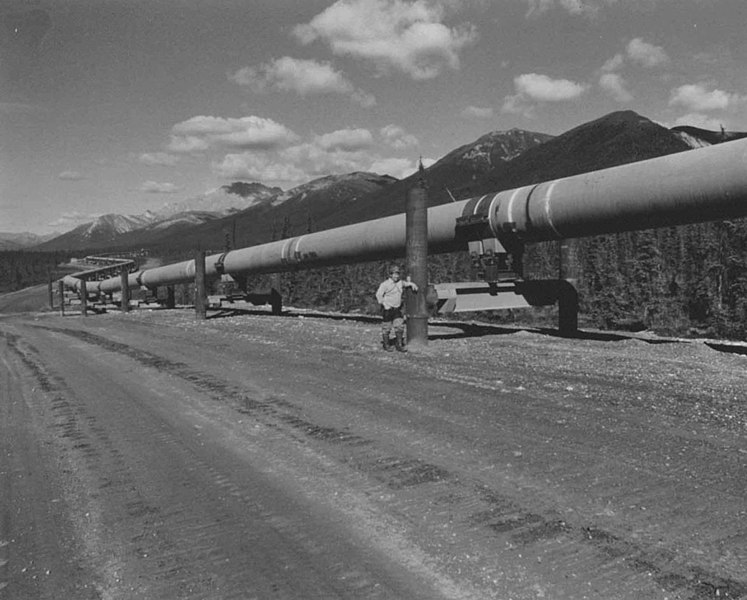 File:Man standing next to trans alaska pipeline.jpg