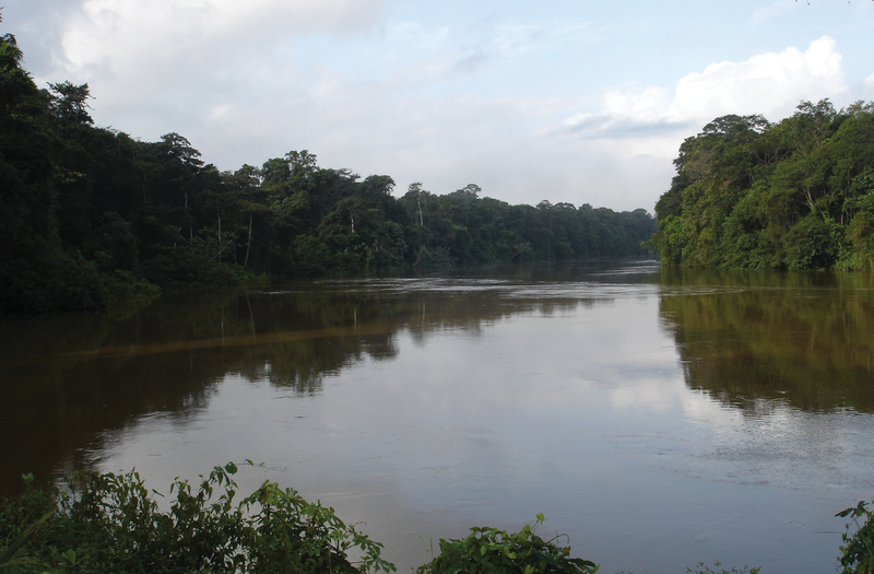 File:Mana River at Angoulême, French Guiana - journal.pone.0057756.g001-top.png