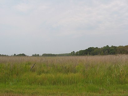 How to get to Kent Island with public transit - About the place