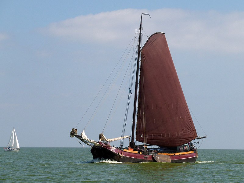 File:Medusa ENr 3050202 S Ijsselmeer 20-07-2013.jpg