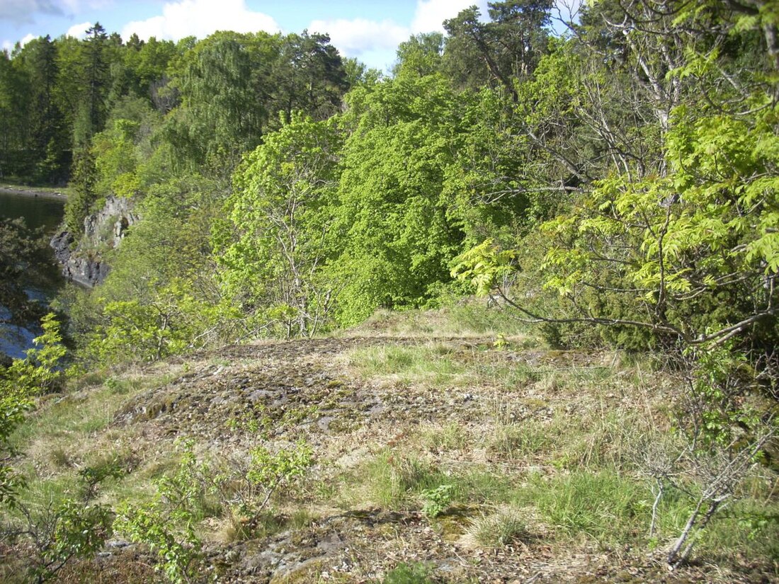 Zone de protection des plantes de Mellomøya