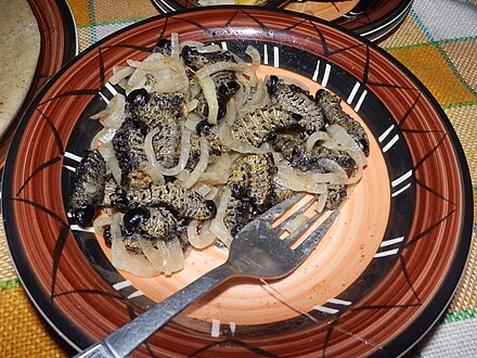 Adventurous? Try some mopane worms, a speciality of Southern Africa