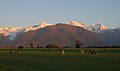 Pastviny na západním pobřeží, v pozadí Mount Cook a Mount Tasman