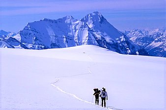 Mt. Bryce from Columbia Icefield