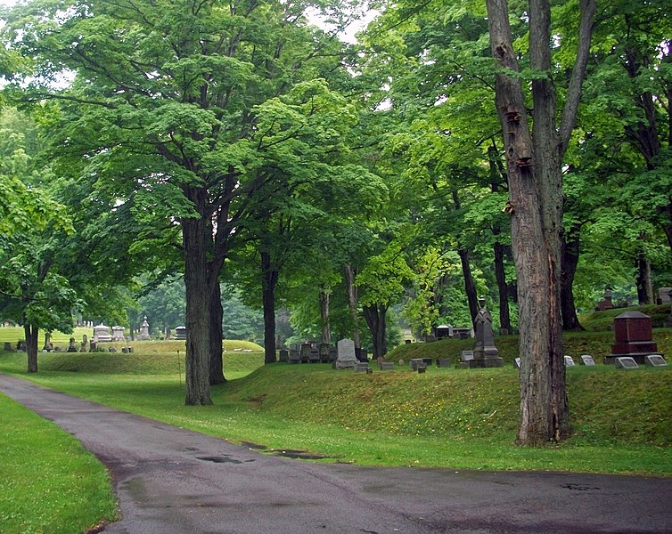 File:Mt Albion Cemetery, Albion, NY.jpg