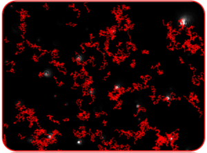 Typical image produced by NTA showing particles being tracked.