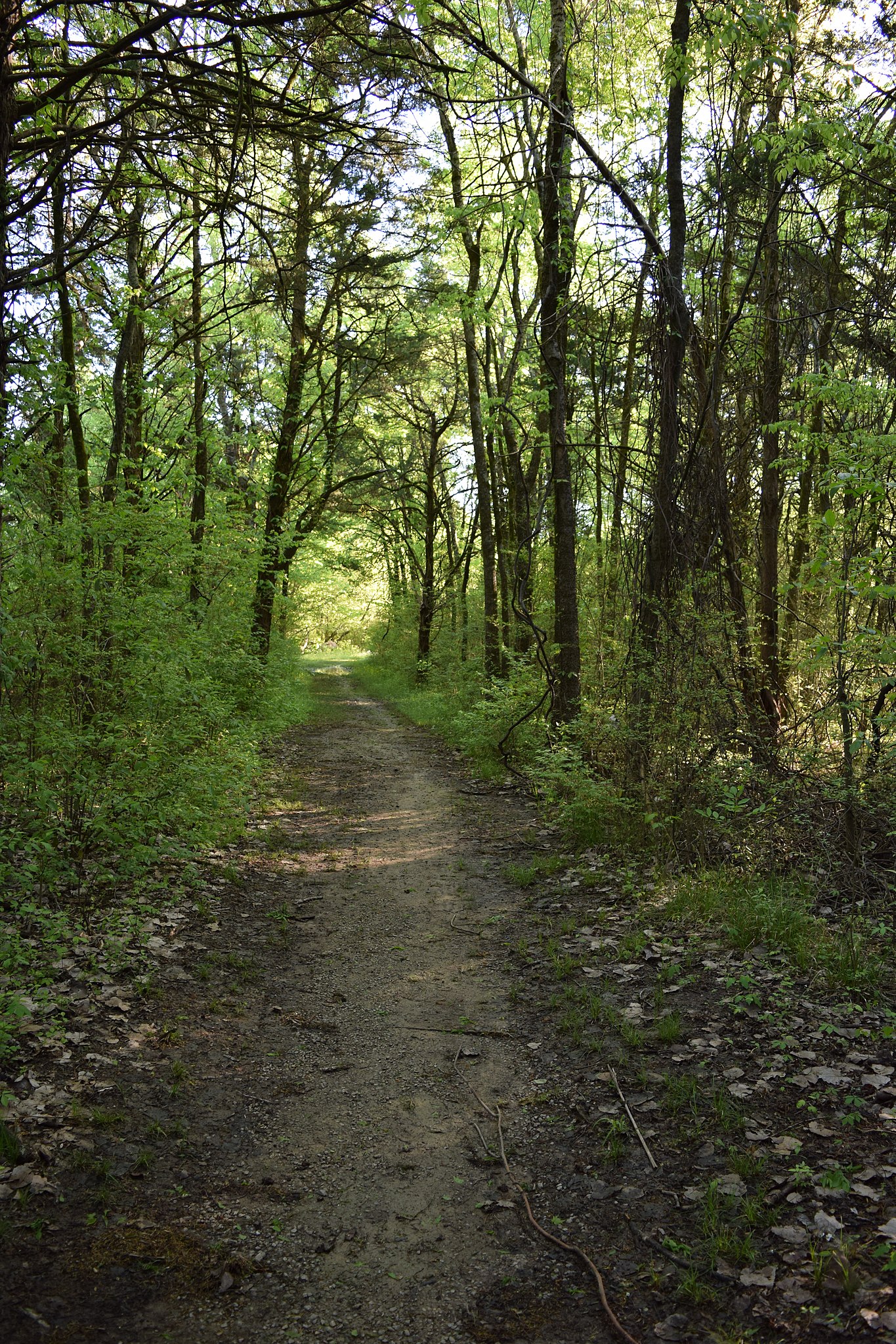 Natchez Trace Scenic Trail | Alabama National Parks