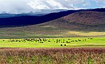 Ngorongoro görünümü (28 12 2010) .jpg