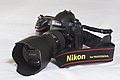 Nikon D4 20150213.jpg