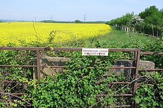 <span class="mw-page-title-main">Right of way</span> Legal right to pass through land belonging to another