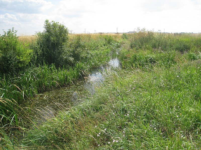 File:No bridge here - geograph.org.uk - 1978231.jpg