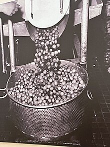 foto di olive denocciolate in produzione Saclà che escono dalla macchina denocciolatrice