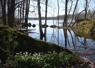 Orlångens Fräkenbotten