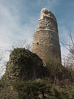 Castle ruins