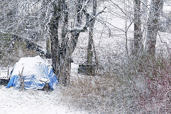 Snowfall in Austria