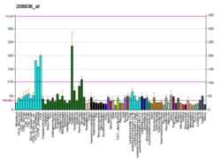 PBB GE CAND1 208838 در fs.png