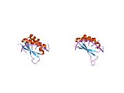 PDB 1j4w EBI.jpg