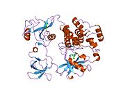 PDB 1qcf EBI.jpg