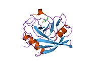 PDB 1w8l EBI.jpg