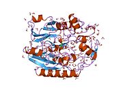 PDB 6jdw EBI.jpg