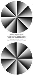 Peripheral drift illusion type of optical illusion