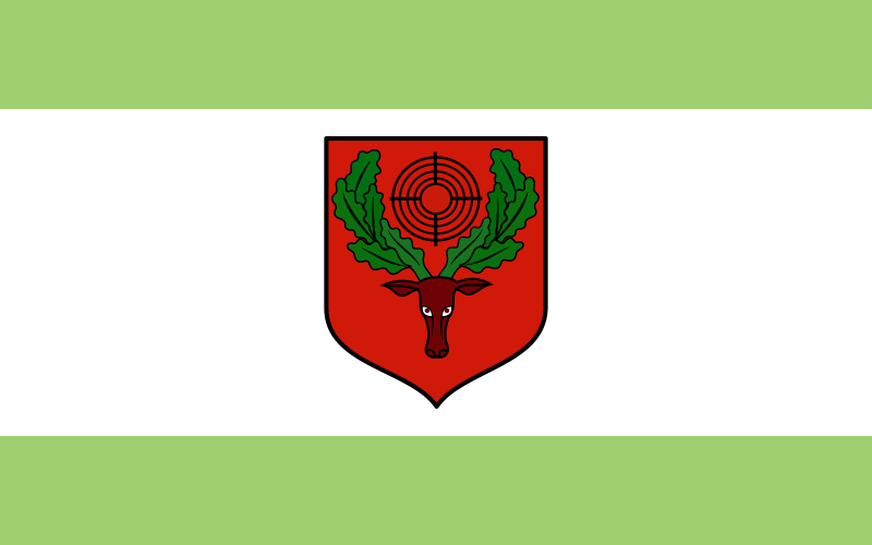 File:POL Pionki flag (2002-2016).svg