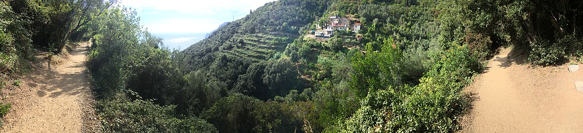 Cinque Terre trail between Vernazza and Monterosso al Mare