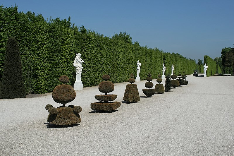 File:Parc de Versailles, parterre de Latone, topiaires 01.jpg