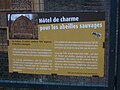 Paris 5e - Jardin des plantes - Hôtel à abeilles - panneau 1.JPG