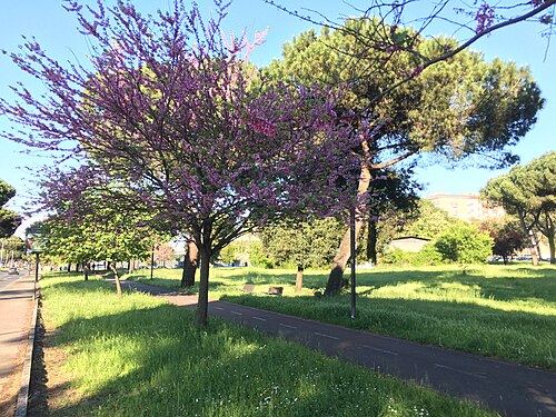 Park of the Solidarietà in Rome