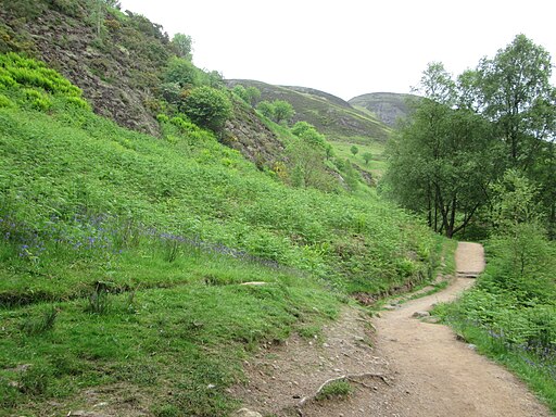 Path leading up to Conic Hill - geograph.org.uk - 4070766