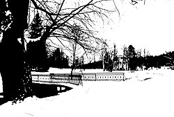 The binary image resulting from a thresholding of the original image. Pavlovsk Railing of bridge Yellow palace Winter bw threshold.jpg