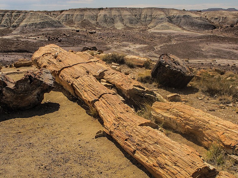 File:Petrified Forest National Park 4.jpg